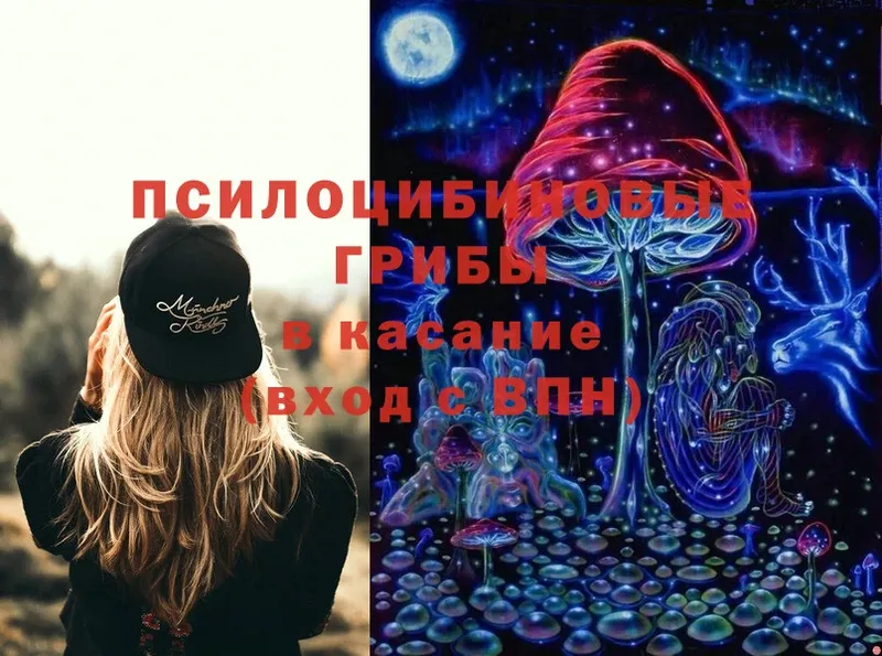 Галлюциногенные грибы Magic Shrooms  Жуков 